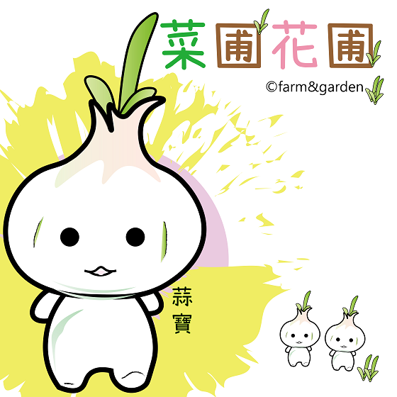 菜圃花圃
