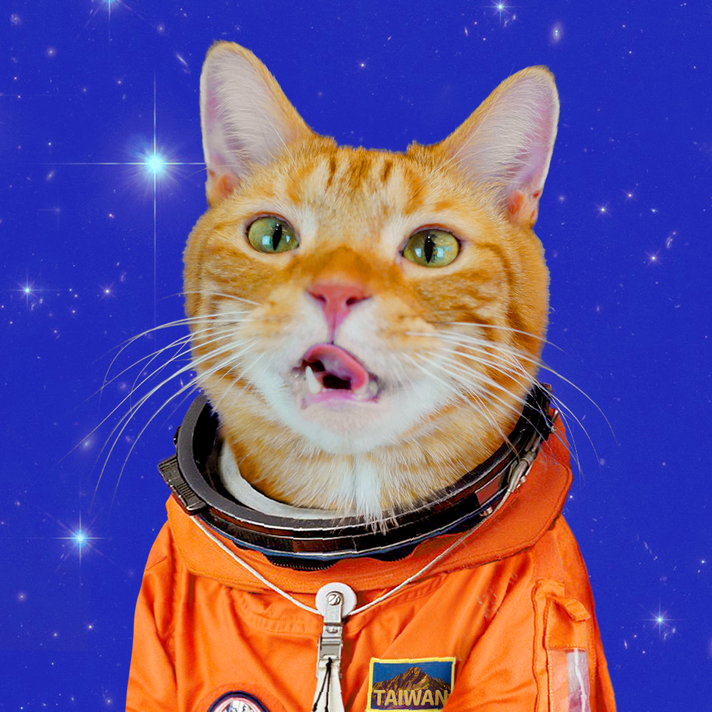 宇宙猫咪