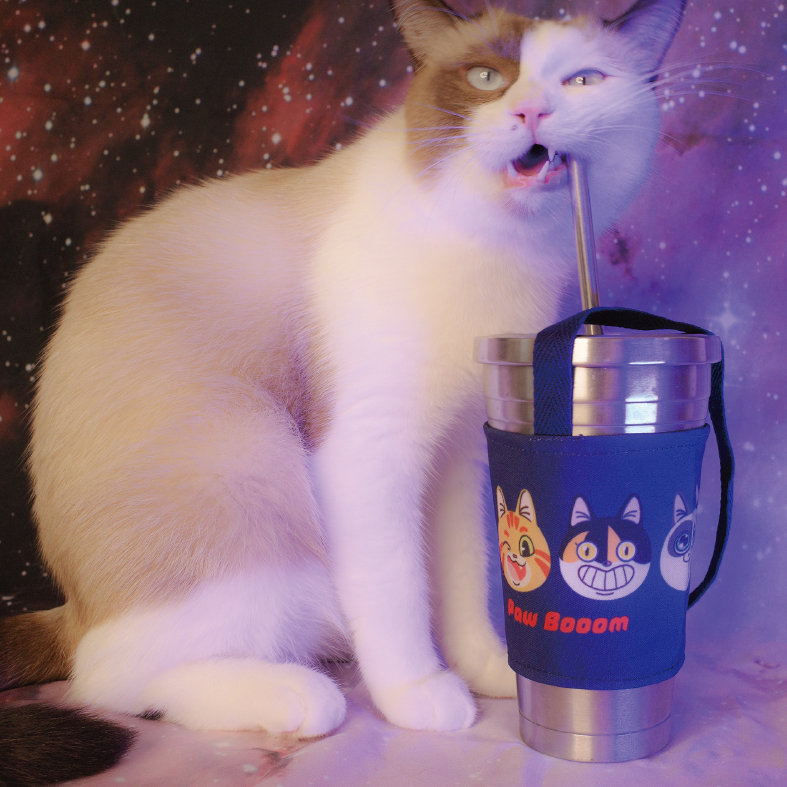 宇宙猫咪大頭杯套